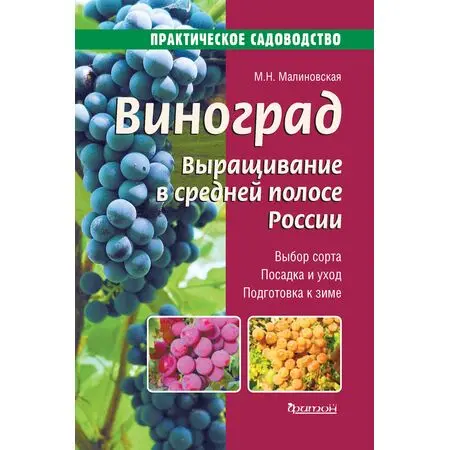 Виноград Выращивание в средней полосе России М.Н. Малиновская ISBN 9785906811110